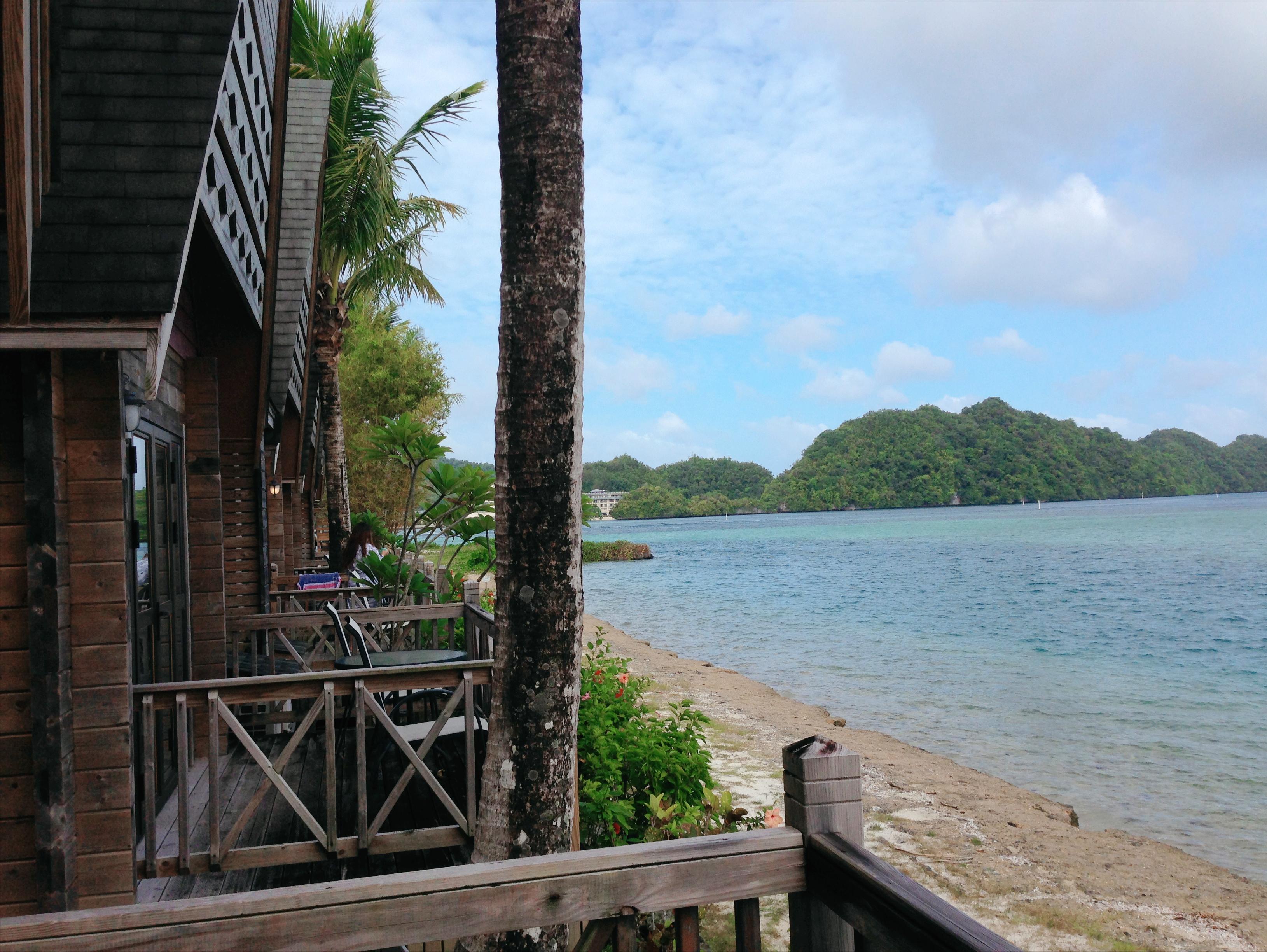 帕劳太平洋水族箱,潜水胜地帕劳水族箱