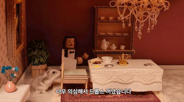 身价300万的仓鼠外网走红！住3层电梯豪宅，丰富娱乐，人不如鼠啊