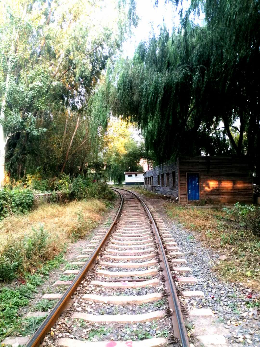 参观沈阳劳模纪念馆感想,参观沈阳历史博物馆的观后感