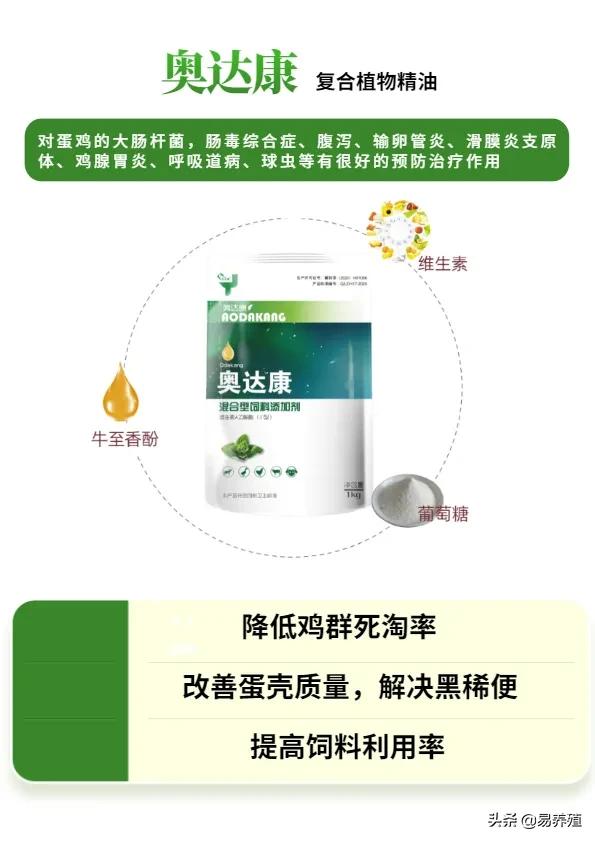 鸡拉红浓屎怎么治,鸡拉绿色稀粪最快解决方法