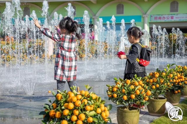 深圳花店有什么花,深圳龙华花店订花送花