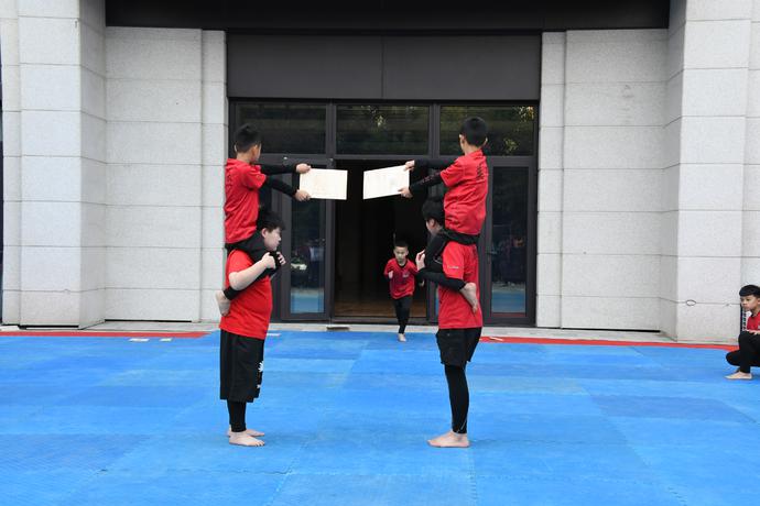 小学跆拳道嘉年华活动策划,亲子跆拳道比赛