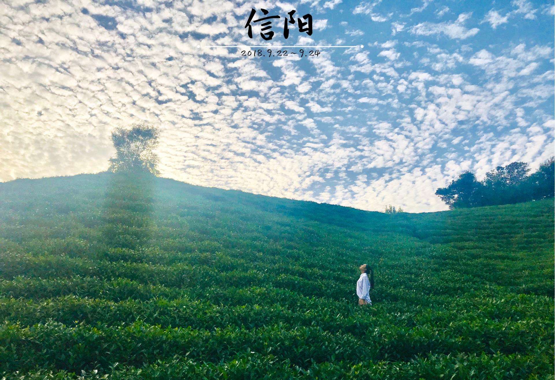 信阳买房买二手还是新房,信阳哪个区买房合适