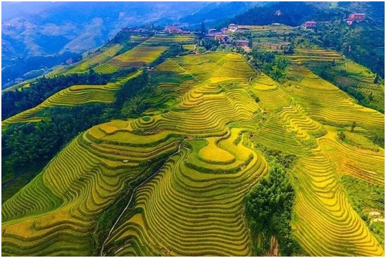 婚礼上播放张杰的秋天的童话,张杰秋天的童话舞蹈