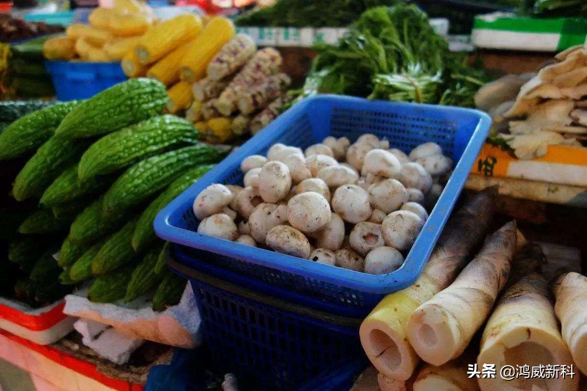 每日分享一个省钱小秘籍,小编给大家说一个省钱的攻略