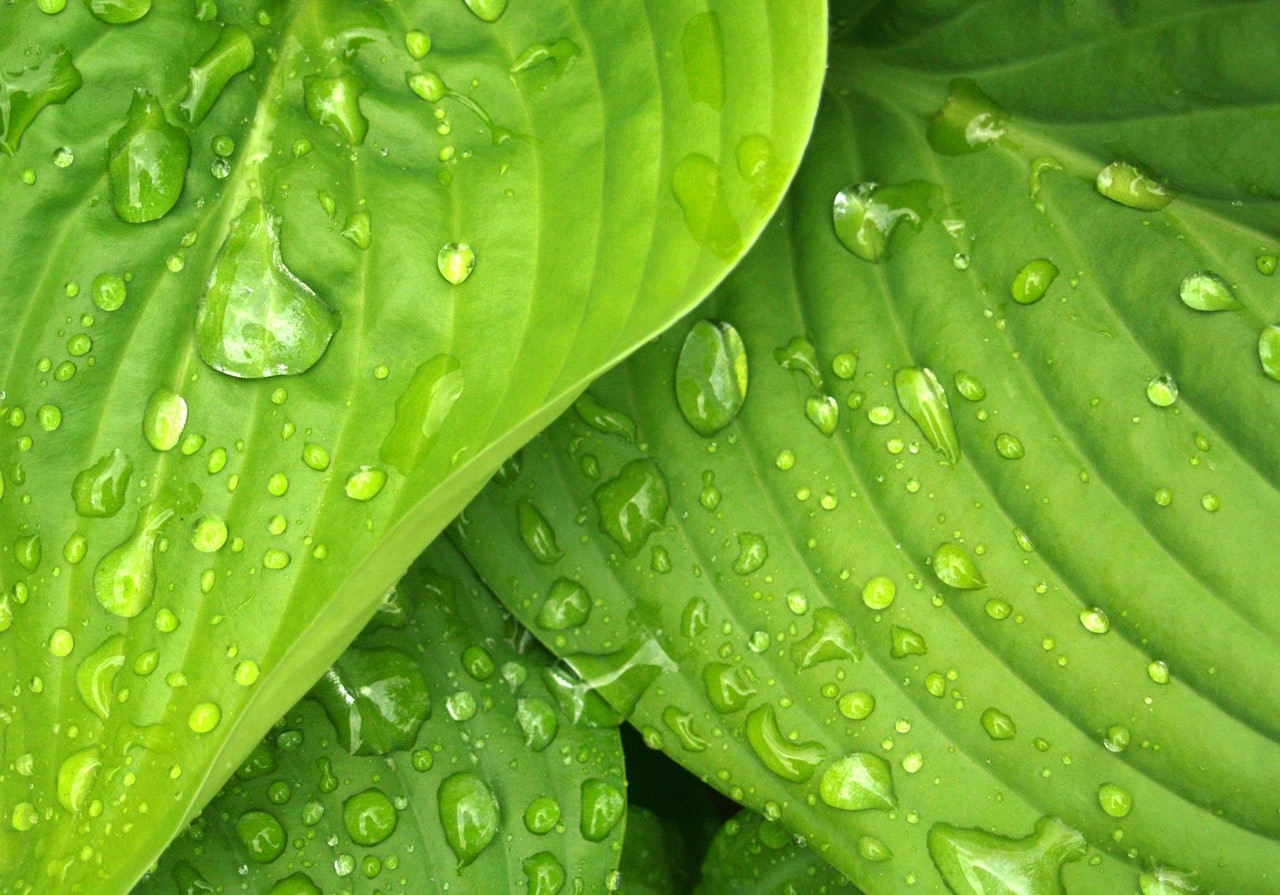 面对上司性骚扰，如何把性骚扰消灭在萌芽状态并保住自己职位？