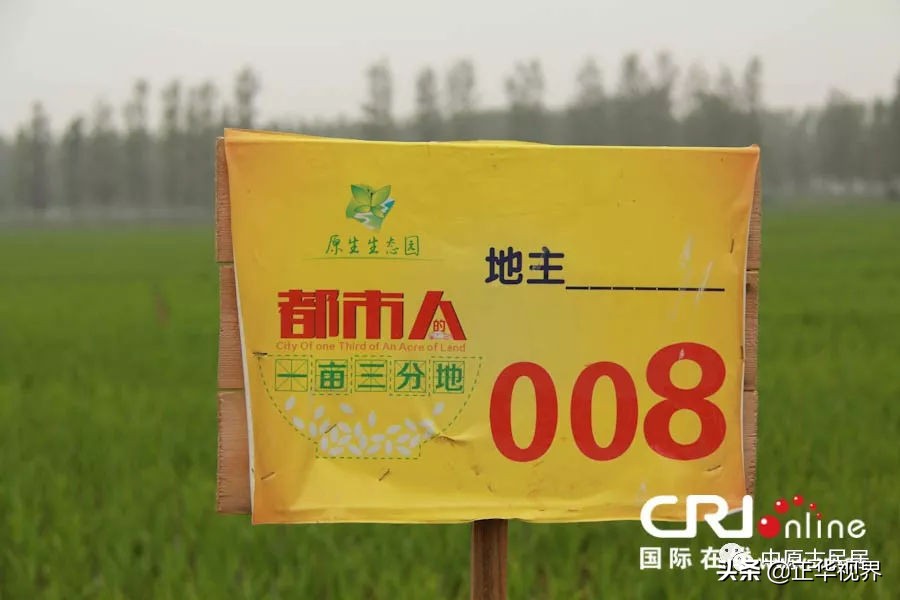 国内十大特色乡村,2006年中原乡村十大热点景区