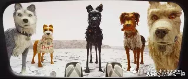 春节档电影你最期待哪一部,2021年度十大最令人期待电影