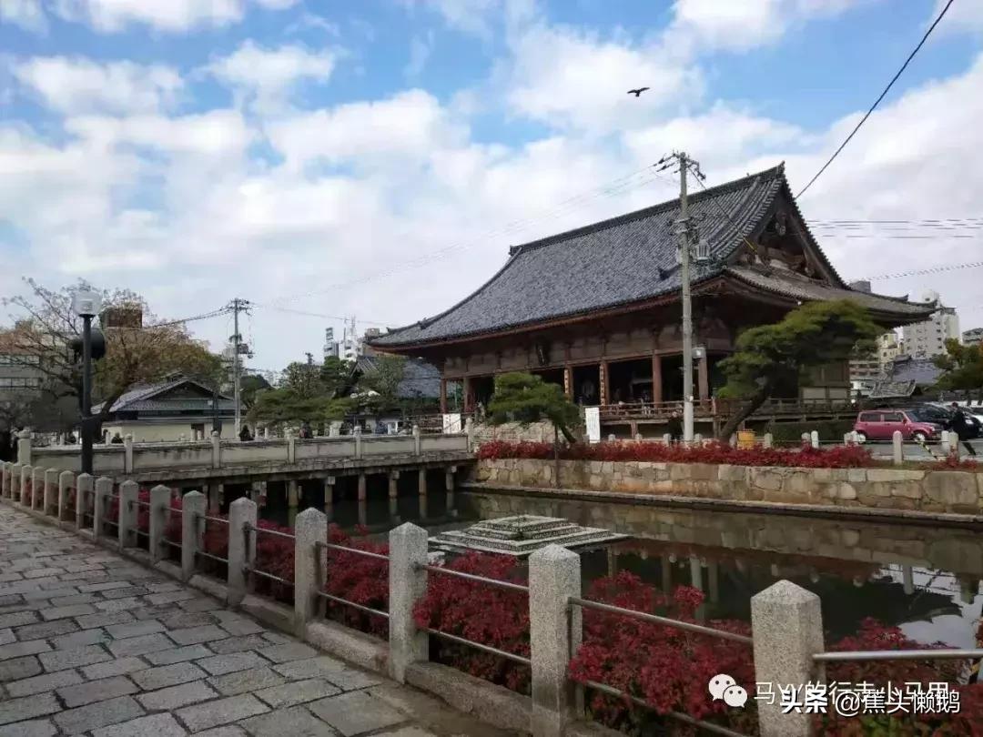 游日本哪有那么贵—超省钱的大阪1日周游券