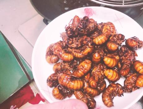 炸金蝉的正确做法,炸熟的金蝉千万不要提前吃