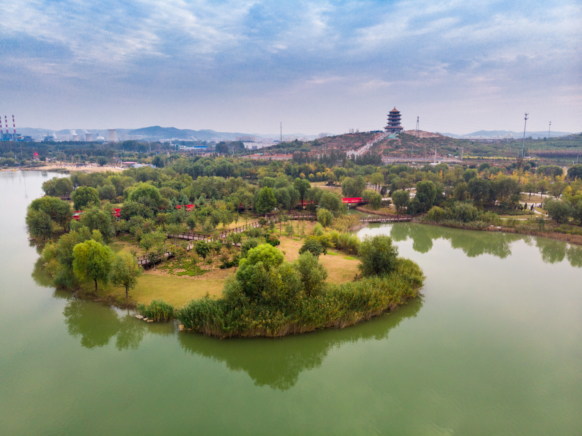 郁金香济南哪里最好,济南万象城郁金香