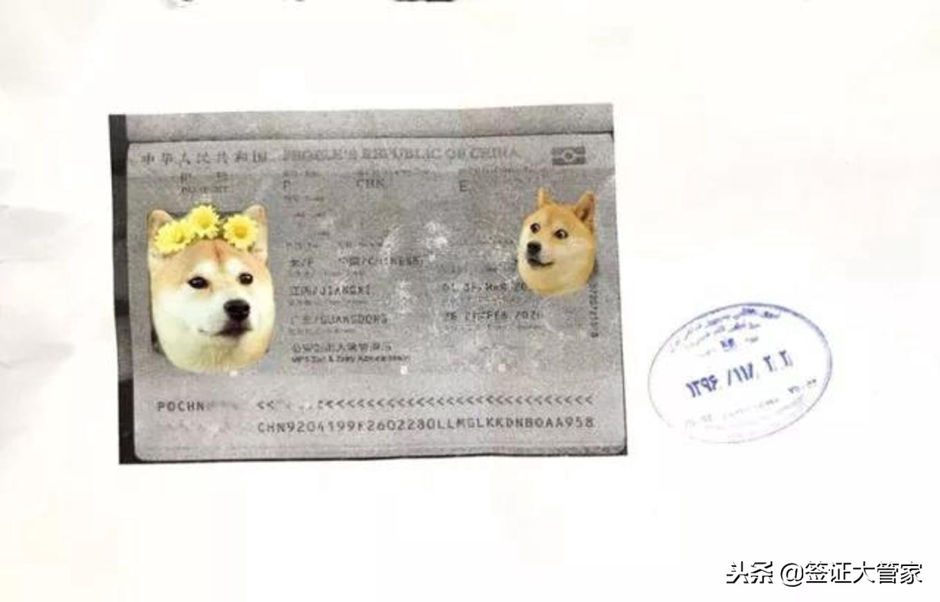 有伊朗签证还可以去美国吗,护照有伊朗签证对美国有影响吗