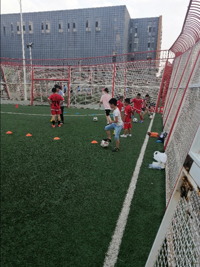 沈阳少儿足球培训俱乐部,沈阳少儿武术培训学校