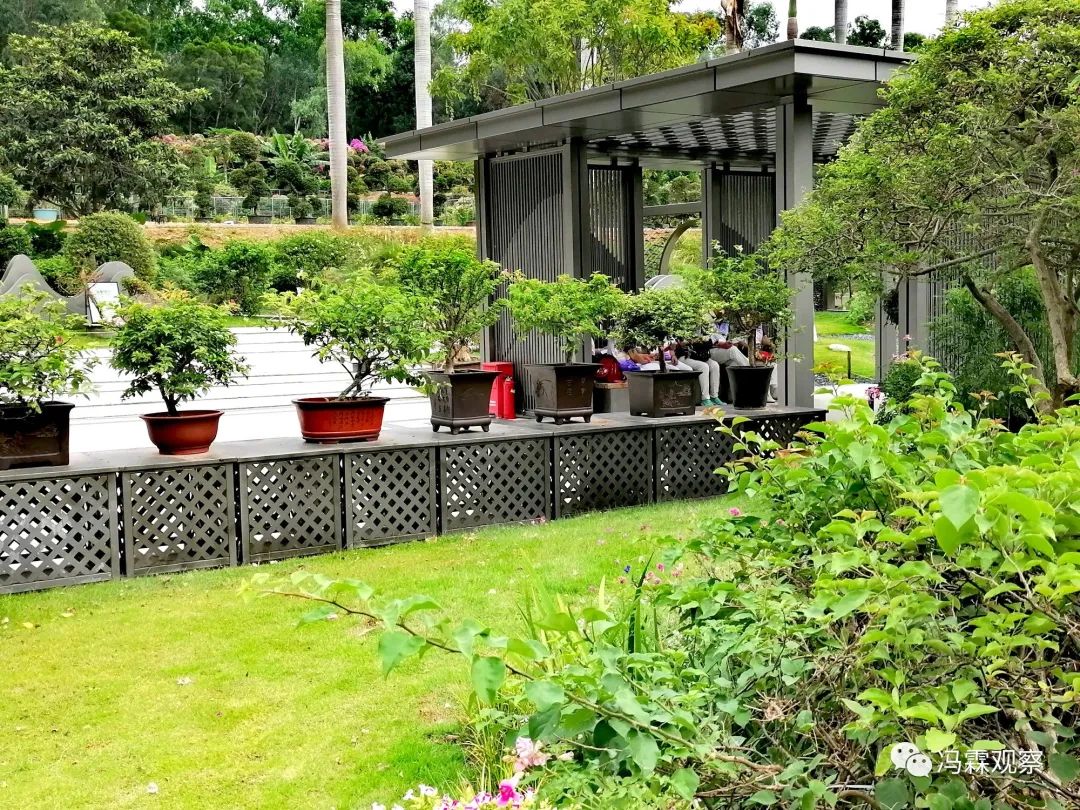 连载（12）：从清茶中飘出来的悠美短文！（文化观察之126）