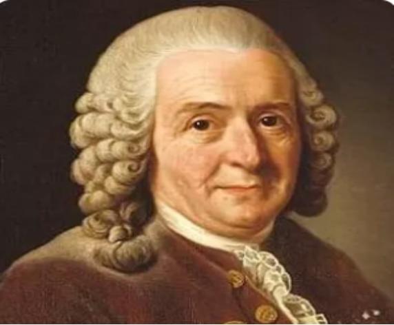 *草烟**有什么特殊功效？揭秘一段奇葩的*草烟**发展史