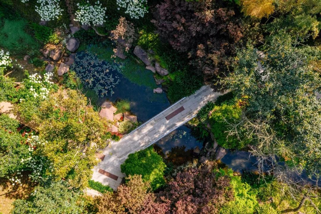 神盘麓湖生态城,麓湖生态城中国神盘