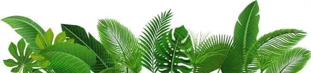 “筑梦乡村•幸福同行”碧桂园•英德连铁古驿道公益徒步活动