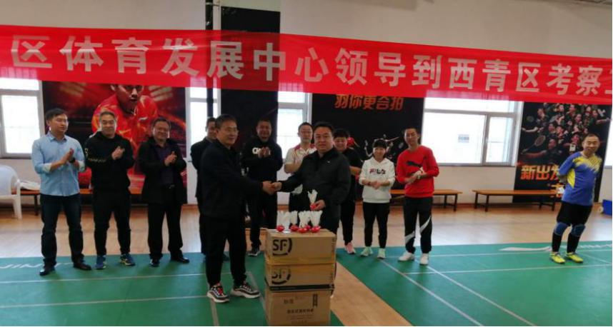 手扑球,手扑球场地图片