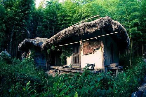 竹林被韩国申遗成功了吗,全球唯一申遗的古茶山