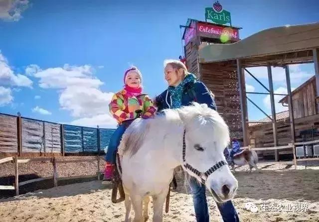 用一颗草莓吸引5百万游客,开5家主题乐园、4家超市、300个草莓屋