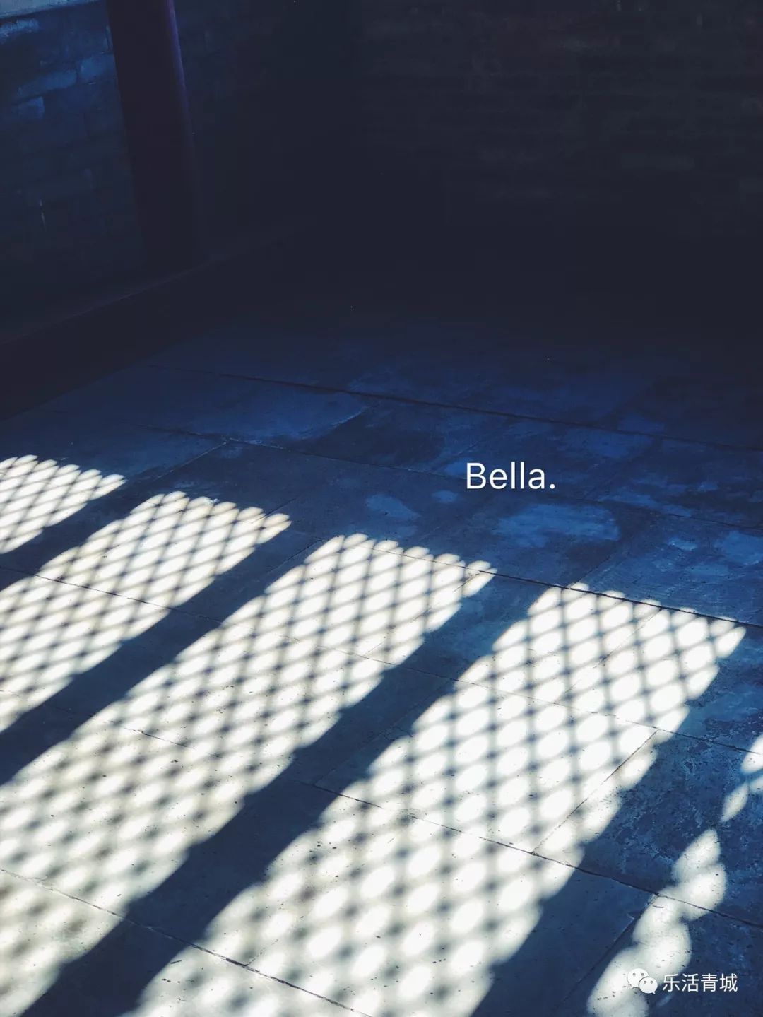 贝拉专访合集,贝拉专栏采访视频