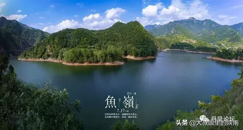 丹凤县七一建党节活动,丹凤建党