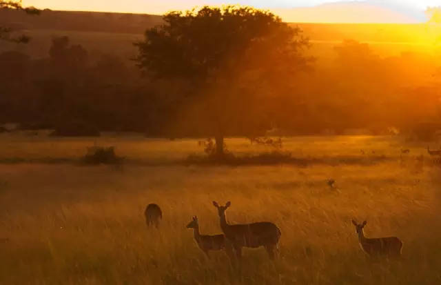 世界公认最美的国家,世界最美的十个国家