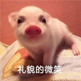 猪年限定款有哪些品牌,猪年限定哪款最值得购买