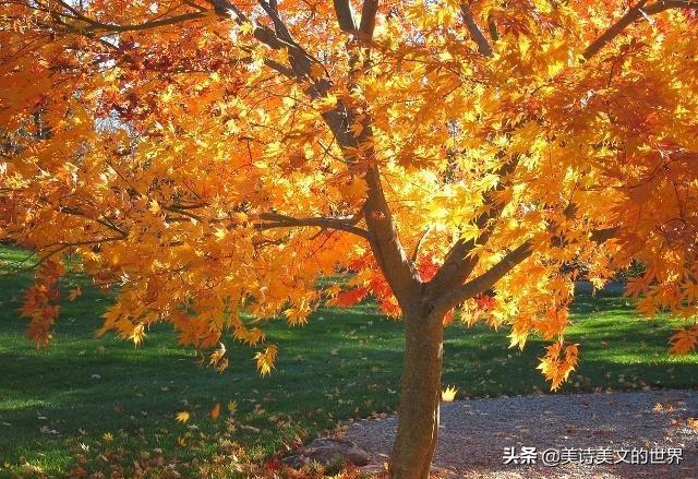 温庭筠绝美之作，其中10字被誉抵得上欧阳修几百字，美得令人心醉