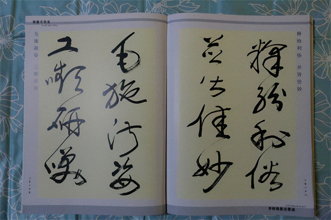 草书千字文真迹,书法千字文作品欣赏启功先生