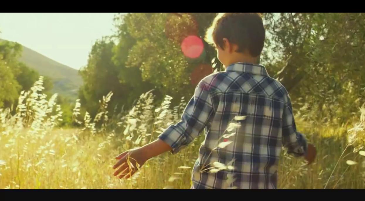 十部顶级治愈系文艺电影,十部顶级治愈小清新日本电影