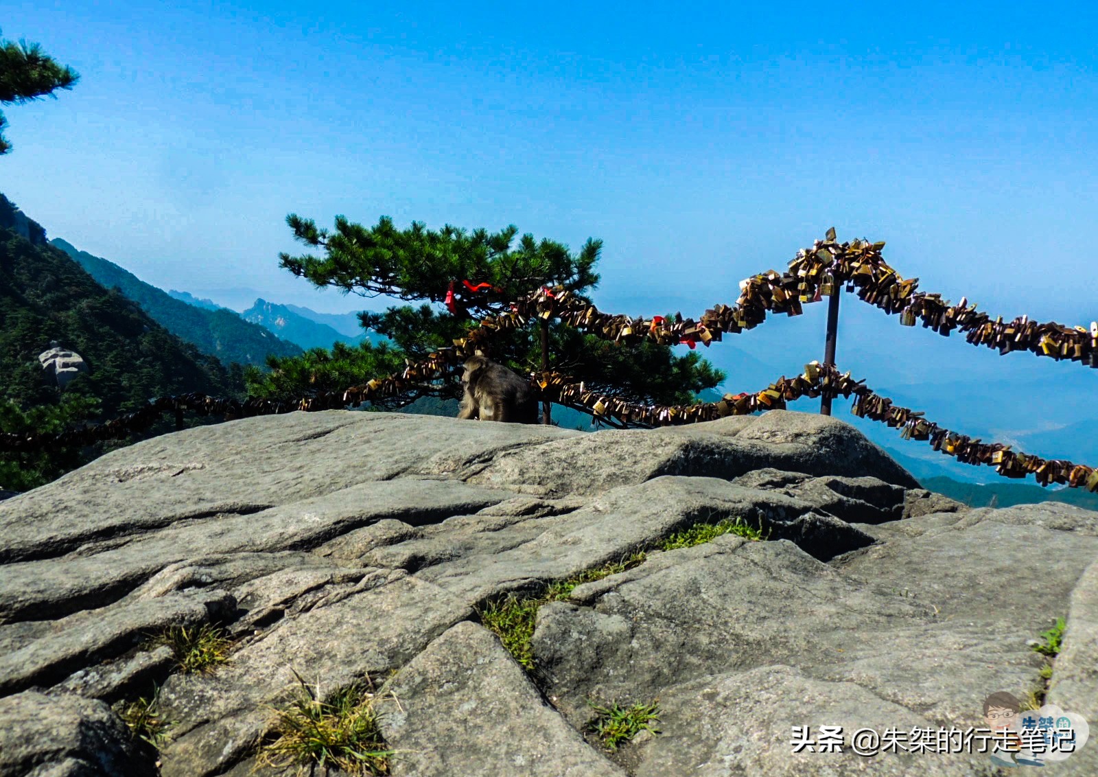 九华山是不是四大名山之首,九华山第一佛教名山