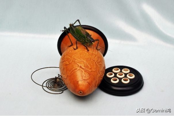 鸣虫葫芦如何选圈口,鸣虫葫芦怎么盘出来