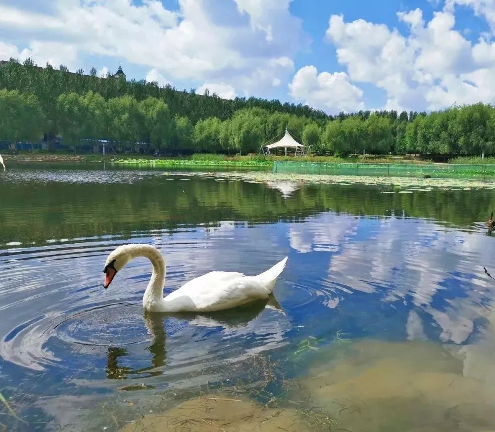 央视、新华社等聚焦！走出6位院士、14名三甲院长，东北这个医学部实力强劲！