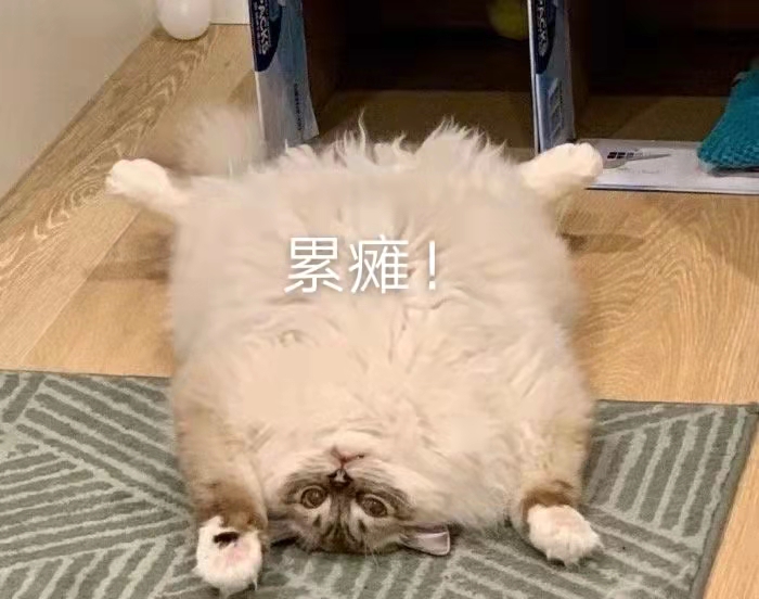 夏季变美思路,三个快速变美思路