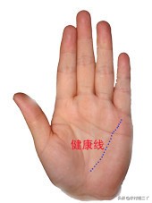 八分钟教你看手相,看手相学习好看哪根线