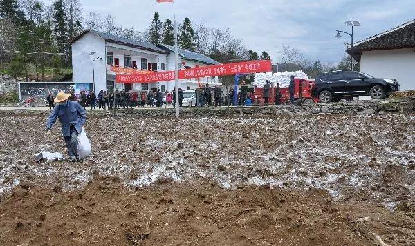 土壤酸化可以用生石灰吗,生石灰土壤处理