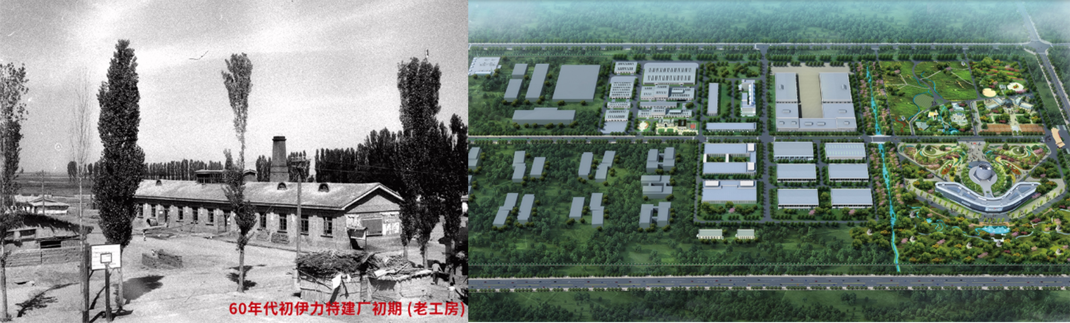 伊力特酒评视频,新疆伊力特白酒哪种好喝