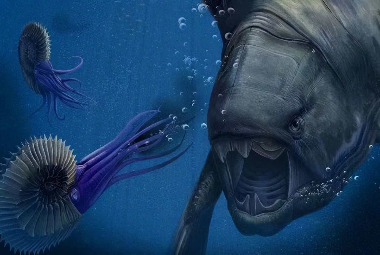 我们用来咬合的颌骨，竟和这条古鱼海怪一脉相承