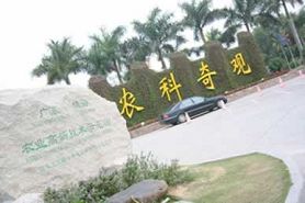 珠海最值得去的旅游景点推荐图片,珠海旅游必去的4个景点是哪里