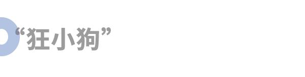 简自豪uzi最新消息,简自豪uzi高光时刻