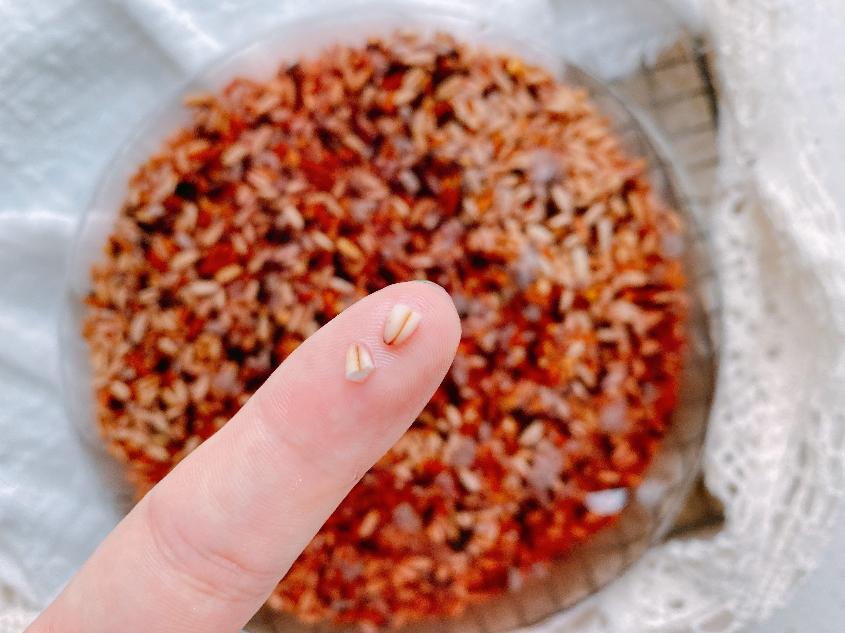 杂粮饭五个技巧,怎么煮杂粮饭才好吃