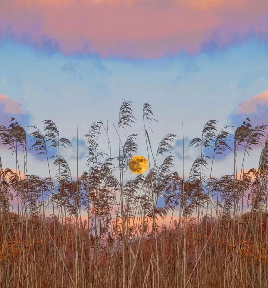 双十一宝宝出生如何发朋友圈,双十一买书的文案朋友圈怎么发