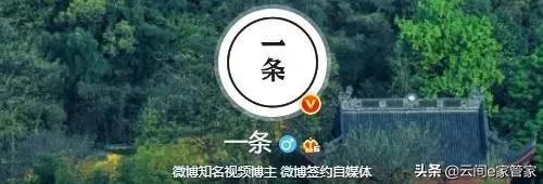 没想到这些大号他们“制造”出来的,这些大号你关注了哪些呢?