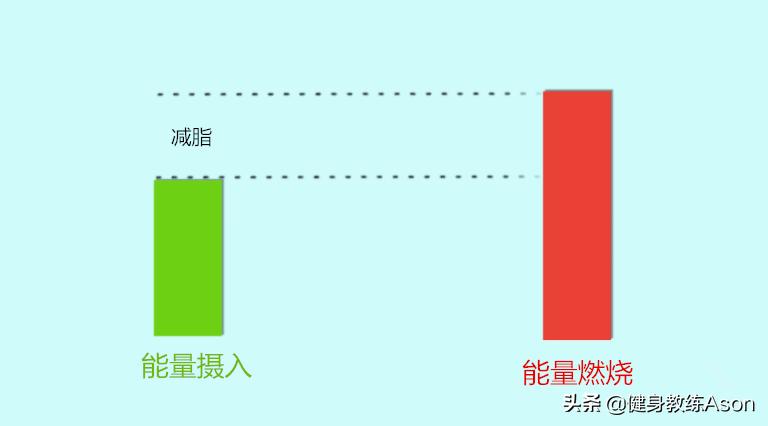 怎样有六块腹肌,如何拥有六块腹肌