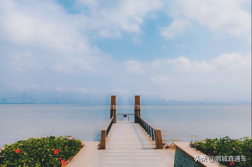 深圳小众主题公园免费,深圳所有景区