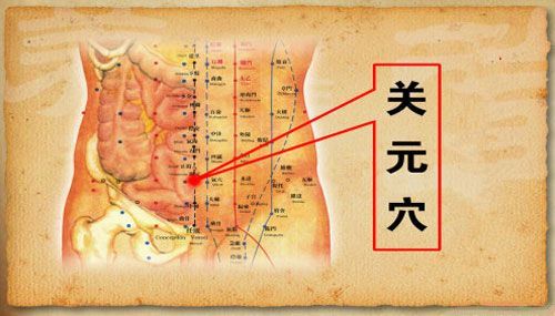 治阴阳两虚穴位,补阴阳两虚穴位