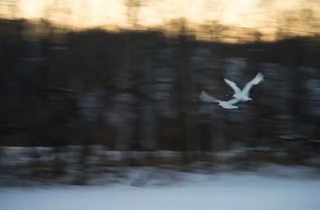 苏东坡的人生观和生活态度,苏东坡十大经典诗词名句