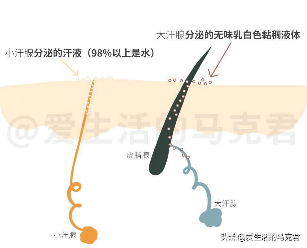 防臭止汗液,好用的止汗露去味