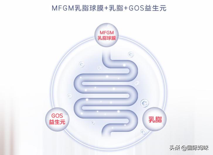 森宝奶粉9-12月喝几段,瑞典森宝奶粉的优点和缺点